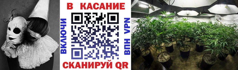 Купить наркотик аптеки Судак Гашиш  A-PVP  Галлюциногенные грибы  Каннабис  Меф  АМФ 