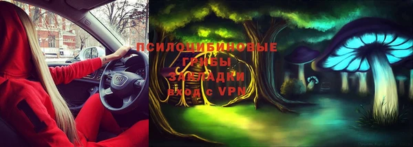 крисы Армянск