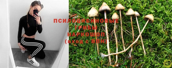 кокаин перу Аркадак
