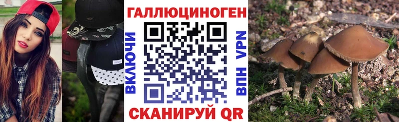 Галлюциногенные грибы Cubensis  Судак 